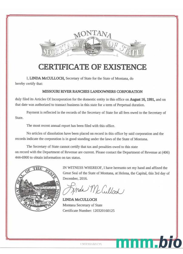 USA Montana vcertyfikat of good standing